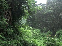 E05471 fp